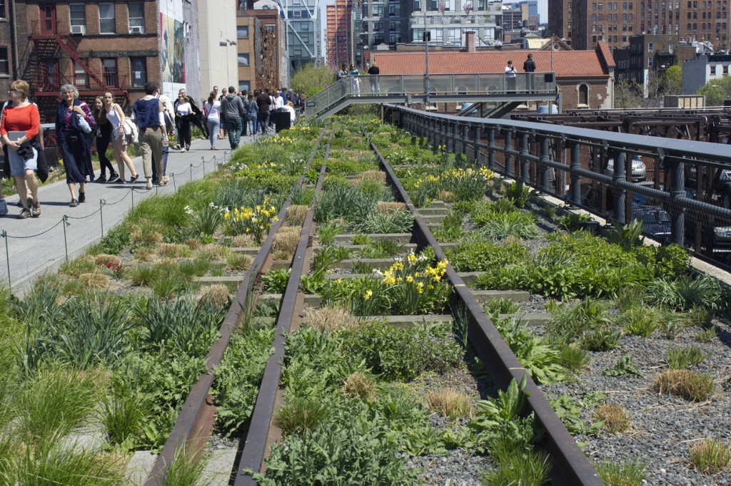 highline_29